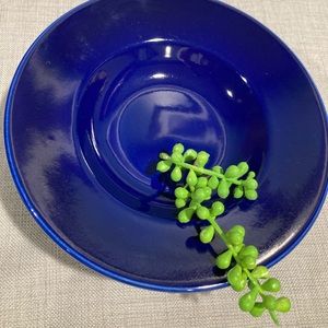 COBALT BLUE PLATES